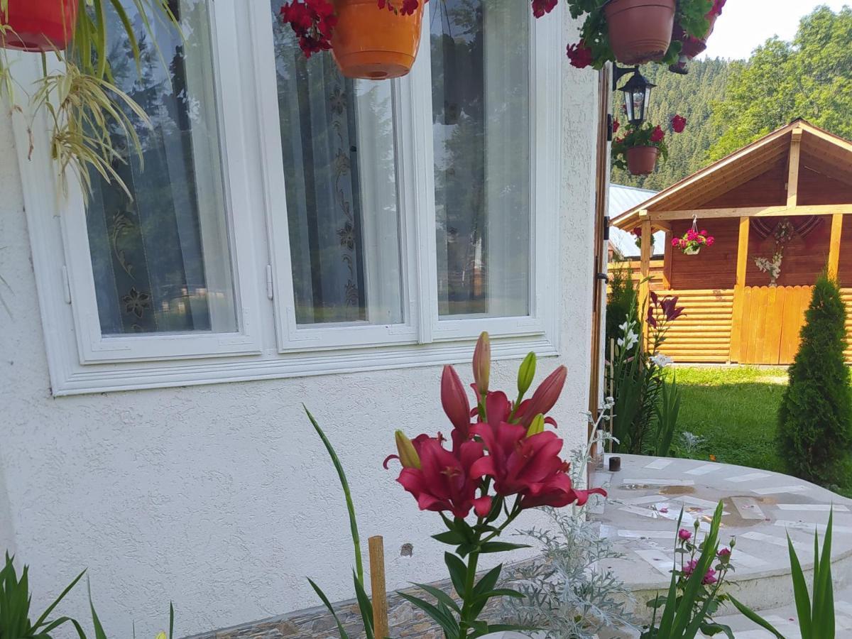 Homestay Casa Moldovita