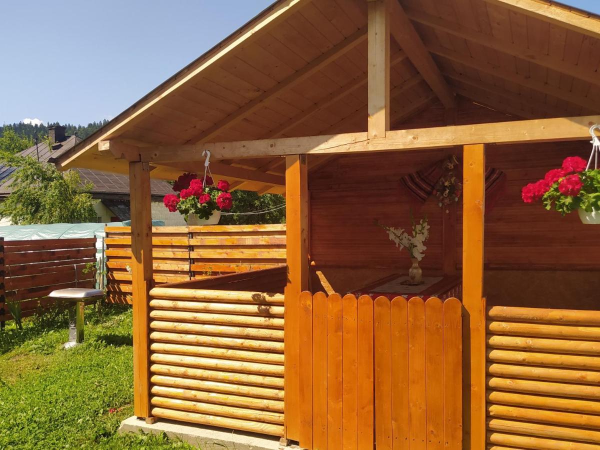 Casa Homestay Moldovita