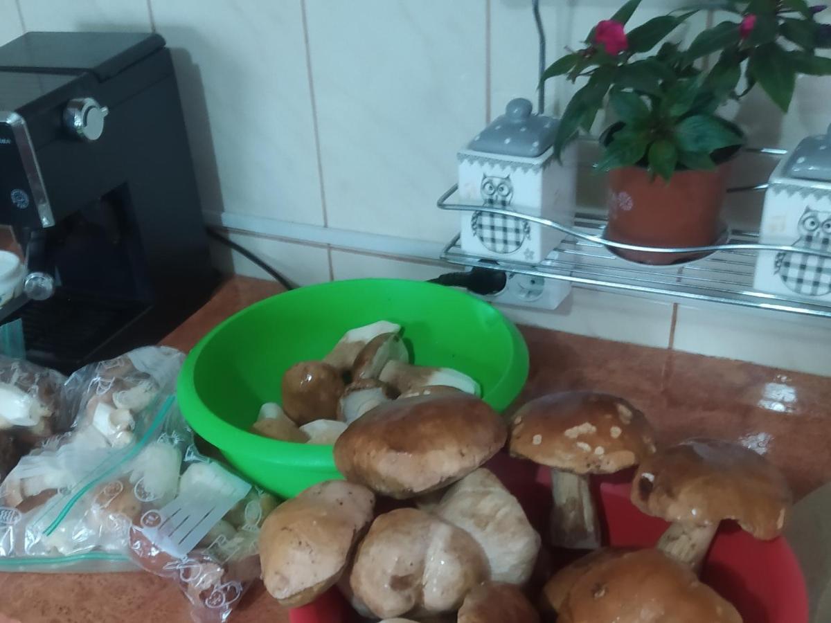 Homestay Casa Moldovita